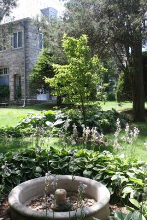 Main House - Backyard